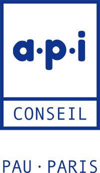 Logo A.P.I. Conseil